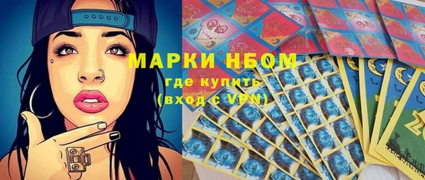 ГАЛЛЮЦИНОГЕННЫЕ ГРИБЫ Арсеньев