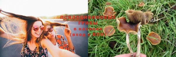 гашиш Аркадак