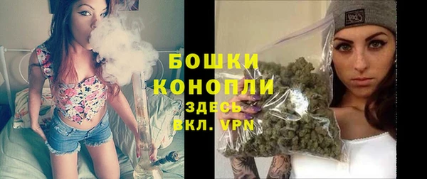 молекула духа Наволоки