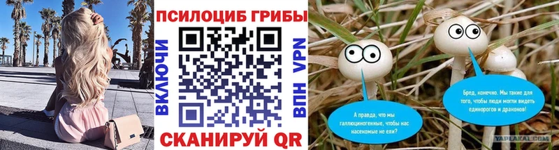Псилоцибиновые грибы прущие грибы  Карталы 